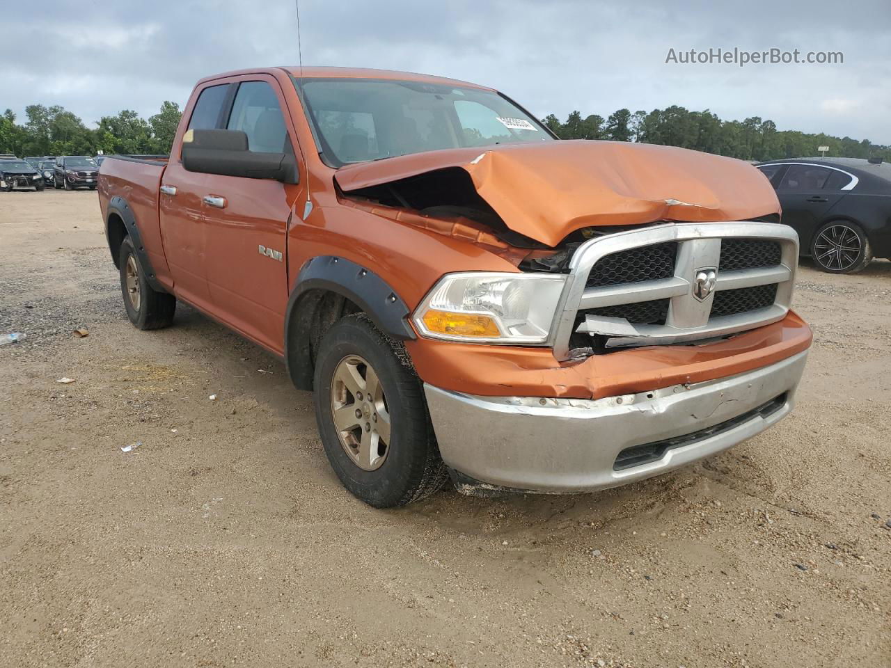 2010 Dodge Ram 1500  Оранжевый vin: 1D7RV1GP3AS204577