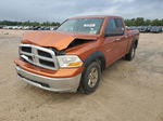 2010 Dodge Ram 1500  Оранжевый vin: 1D7RV1GP3AS204577