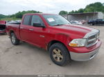 2010 Dodge Ram 1500 Slt/sport/trx Red vin: 1D7RV1GP4AS102155