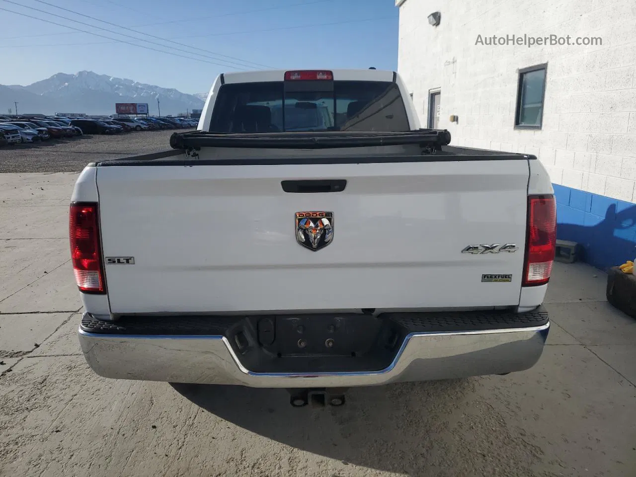 2010 Dodge Ram 1500  Белый vin: 1D7RV1GP4AS136287