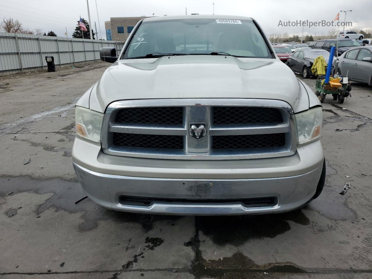 2010 Dodge Ram 1500  Бежевый vin: 1D7RV1GP4AS219332