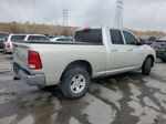 2010 Dodge Ram 1500  Бежевый vin: 1D7RV1GP4AS219332