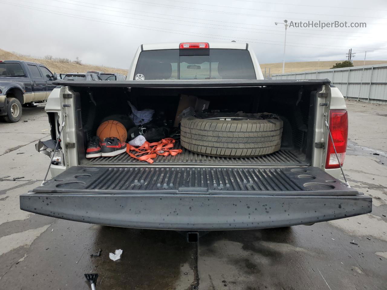 2010 Dodge Ram 1500  Beige vin: 1D7RV1GP4AS219332