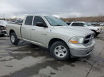 2010 Dodge Ram 1500  Бежевый vin: 1D7RV1GP4AS219332