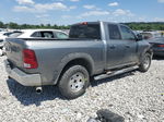 2010 Dodge Ram 1500  Gray vin: 1D7RV1GP5AS234356