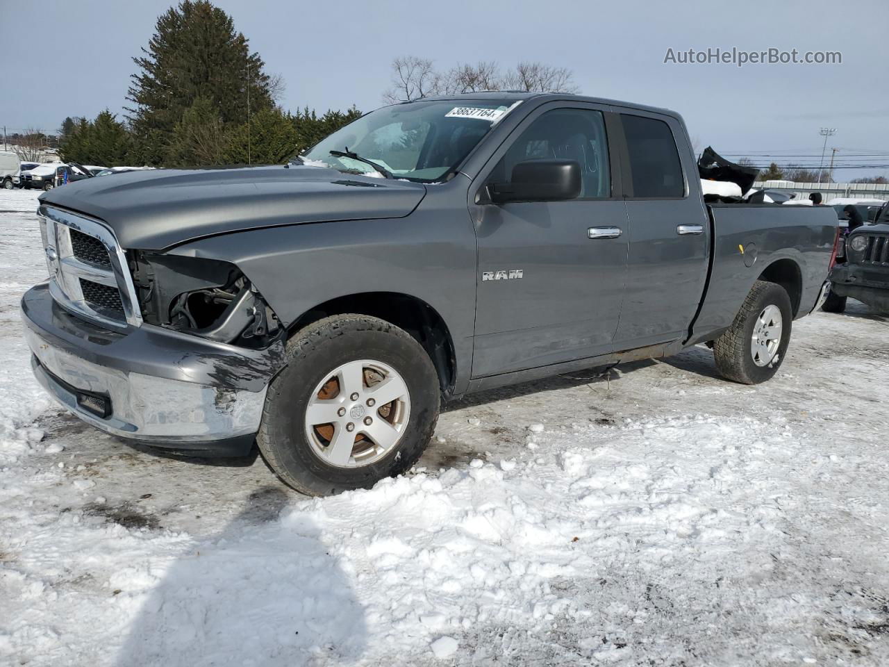 2010 Dodge Ram 1500  Gray vin: 1D7RV1GP6AS105543