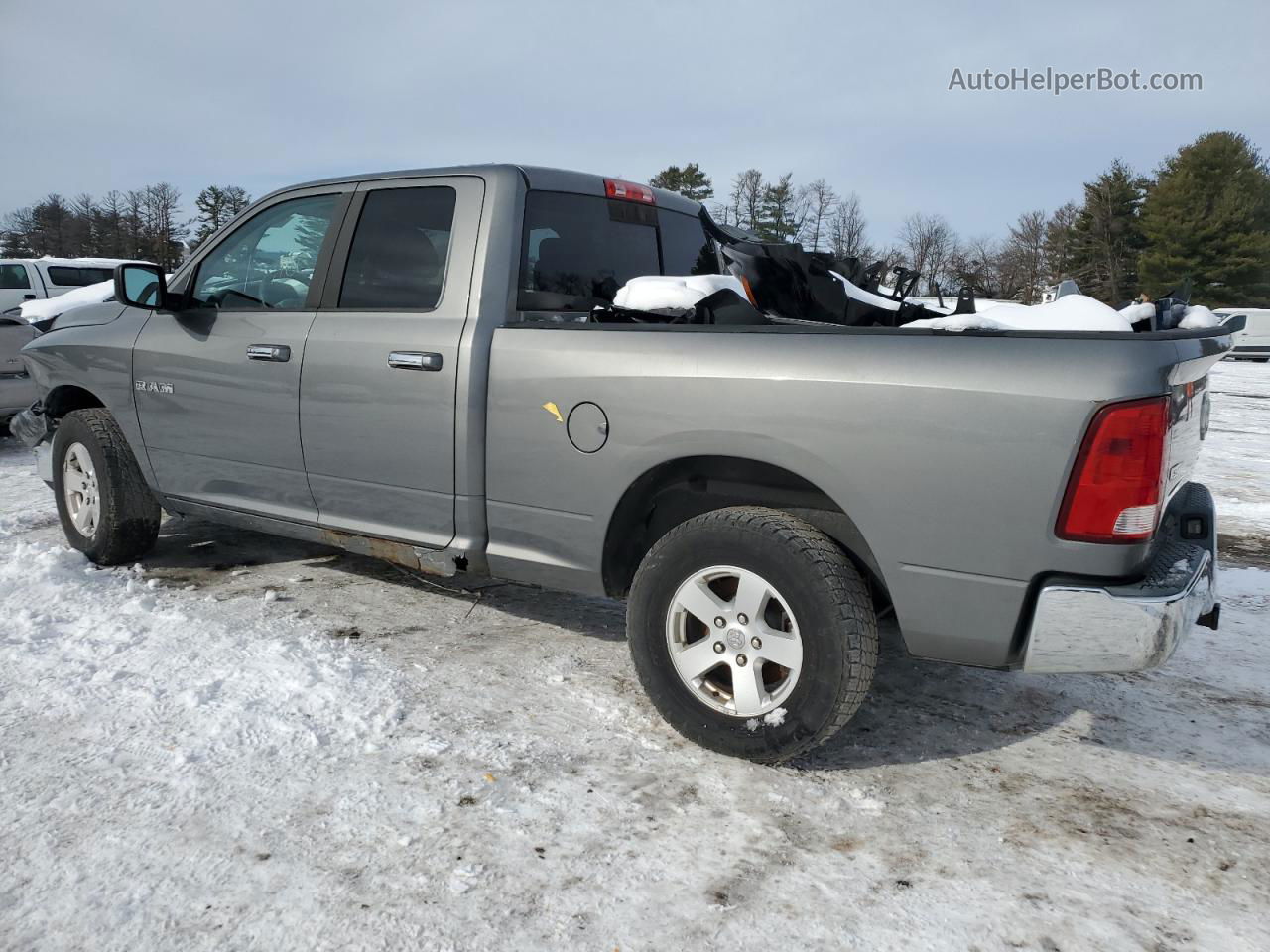 2010 Dodge Ram 1500  Gray vin: 1D7RV1GP6AS105543