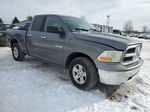 2010 Dodge Ram 1500  Gray vin: 1D7RV1GP6AS105543