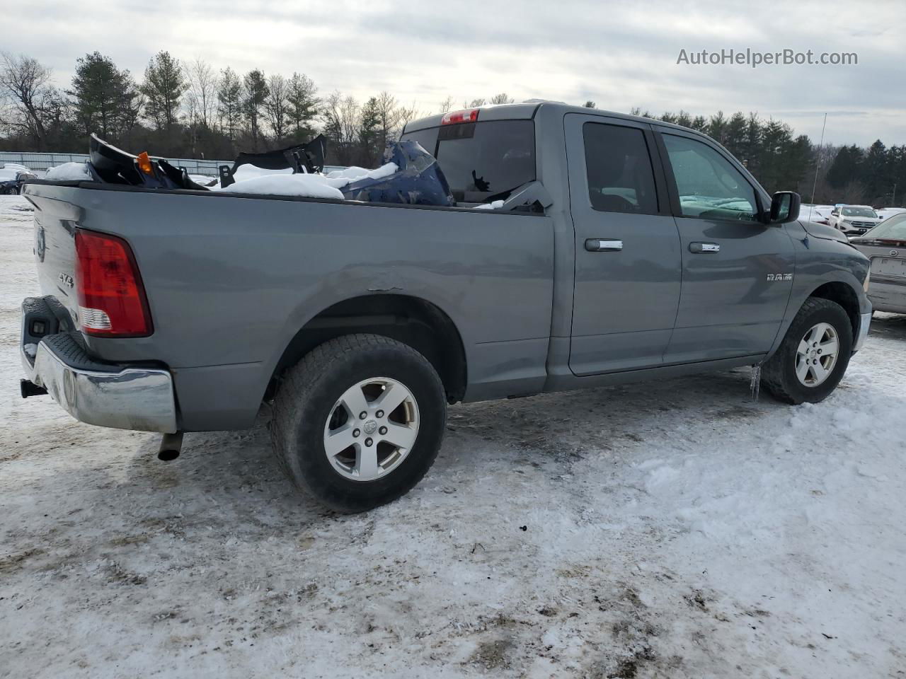 2010 Dodge Ram 1500  Gray vin: 1D7RV1GP6AS105543