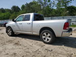 2010 Dodge Ram 1500  Silver vin: 1D7RV1GPXAS106453