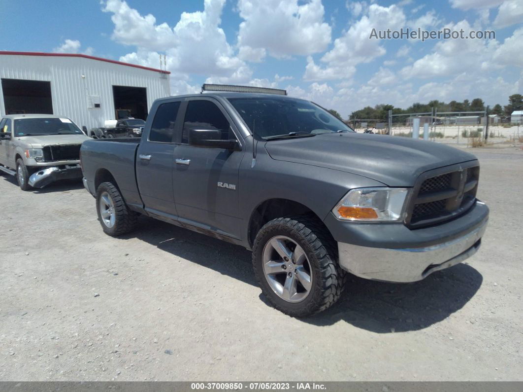 2010 Dodge Ram 1500 Slt Gray vin: 1D7RV1GPXAS113063