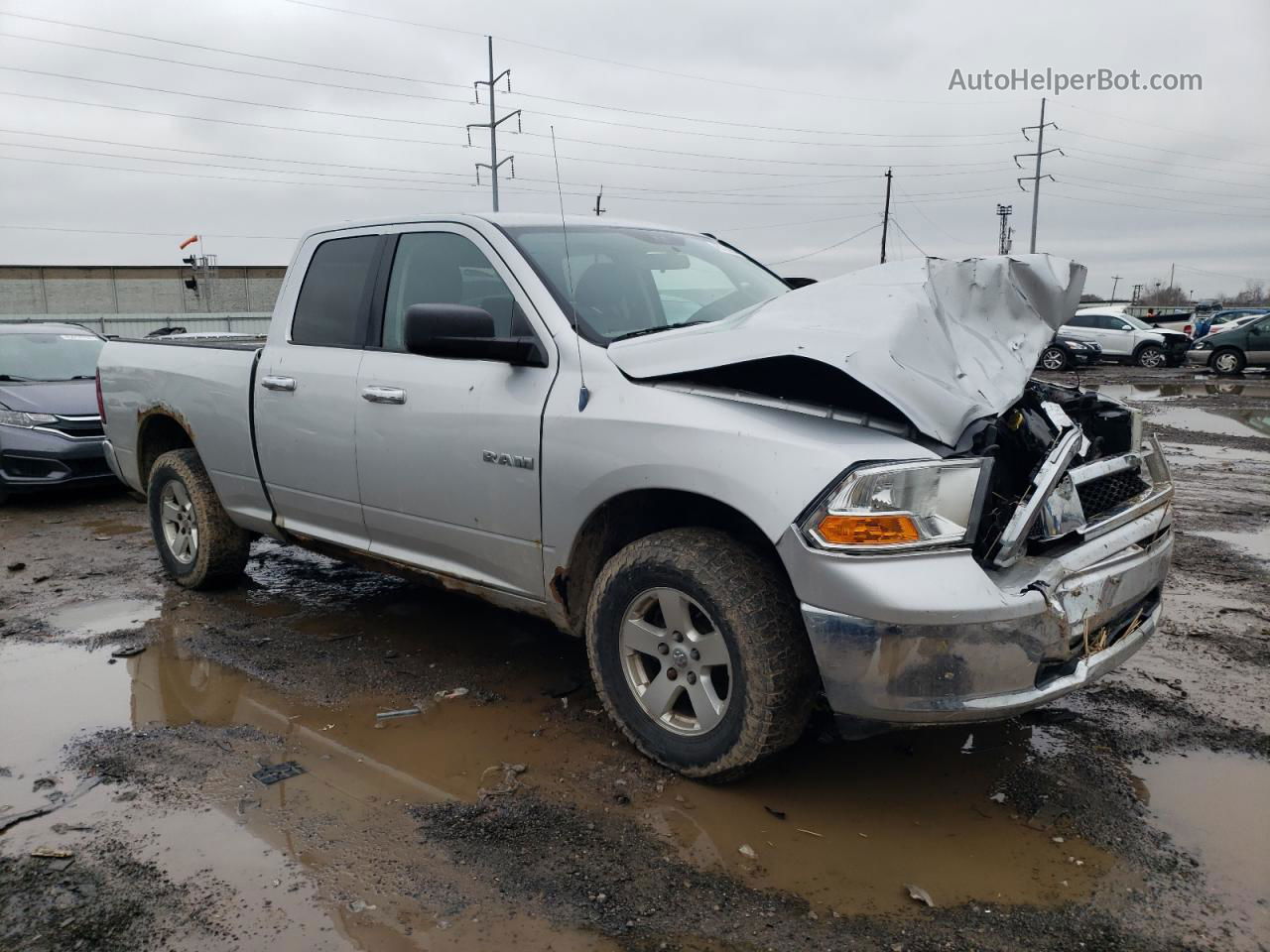 2010 Dodge Ram 1500  Серебряный vin: 1D7RV1GPXAS132678