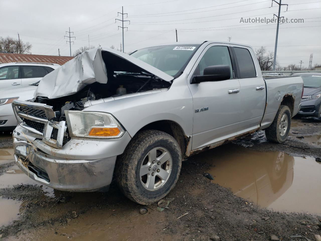 2010 Dodge Ram 1500  Серебряный vin: 1D7RV1GPXAS132678