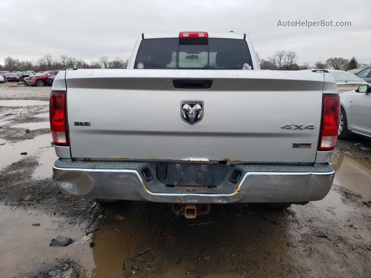 2010 Dodge Ram 1500  Серебряный vin: 1D7RV1GPXAS132678