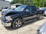 2010 Dodge Ram 1500  Black vin: 1D7RV1GT0AS158753