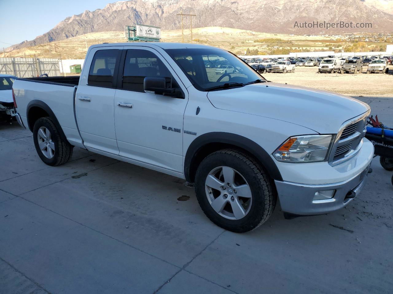 2010 Dodge Ram 1500  White vin: 1D7RV1GT1AS137751