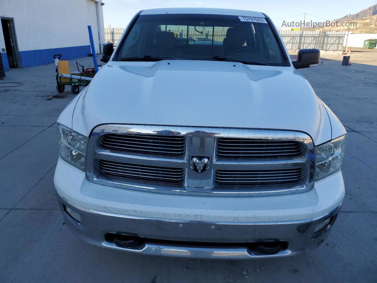 2010 Dodge Ram 1500  White vin: 1D7RV1GT1AS137751