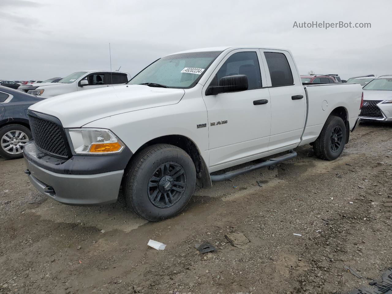 2010 Dodge Ram 1500  White vin: 1D7RV1GT1AS160995