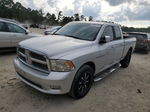 2010 Dodge Ram 1500  Silver vin: 1D7RV1GT1AS175173