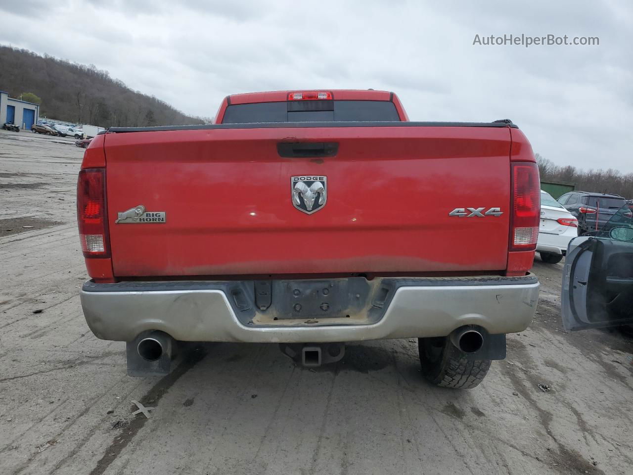 2010 Dodge Ram 1500  Красный vin: 1D7RV1GT2AS216569