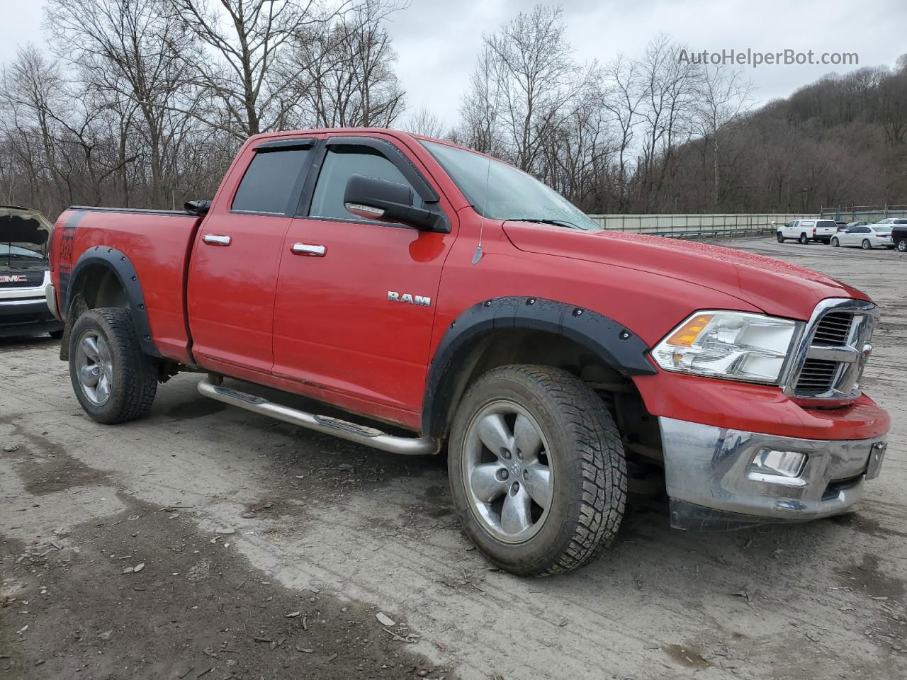 2010 Dodge Ram 1500  Красный vin: 1D7RV1GT2AS216569