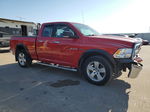 2010 Dodge Ram 1500  Красный vin: 1D7RV1GT4AS133693