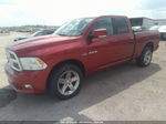 2010 Dodge Ram 1500 Sport Red vin: 1D7RV1GT4AS175054