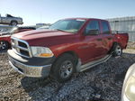 2010 Dodge Ram 1500  Красный vin: 1D7RV1GT4AS182490