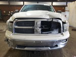 2010 Dodge Ram 1500  Beige vin: 1D7RV1GT5AS227484