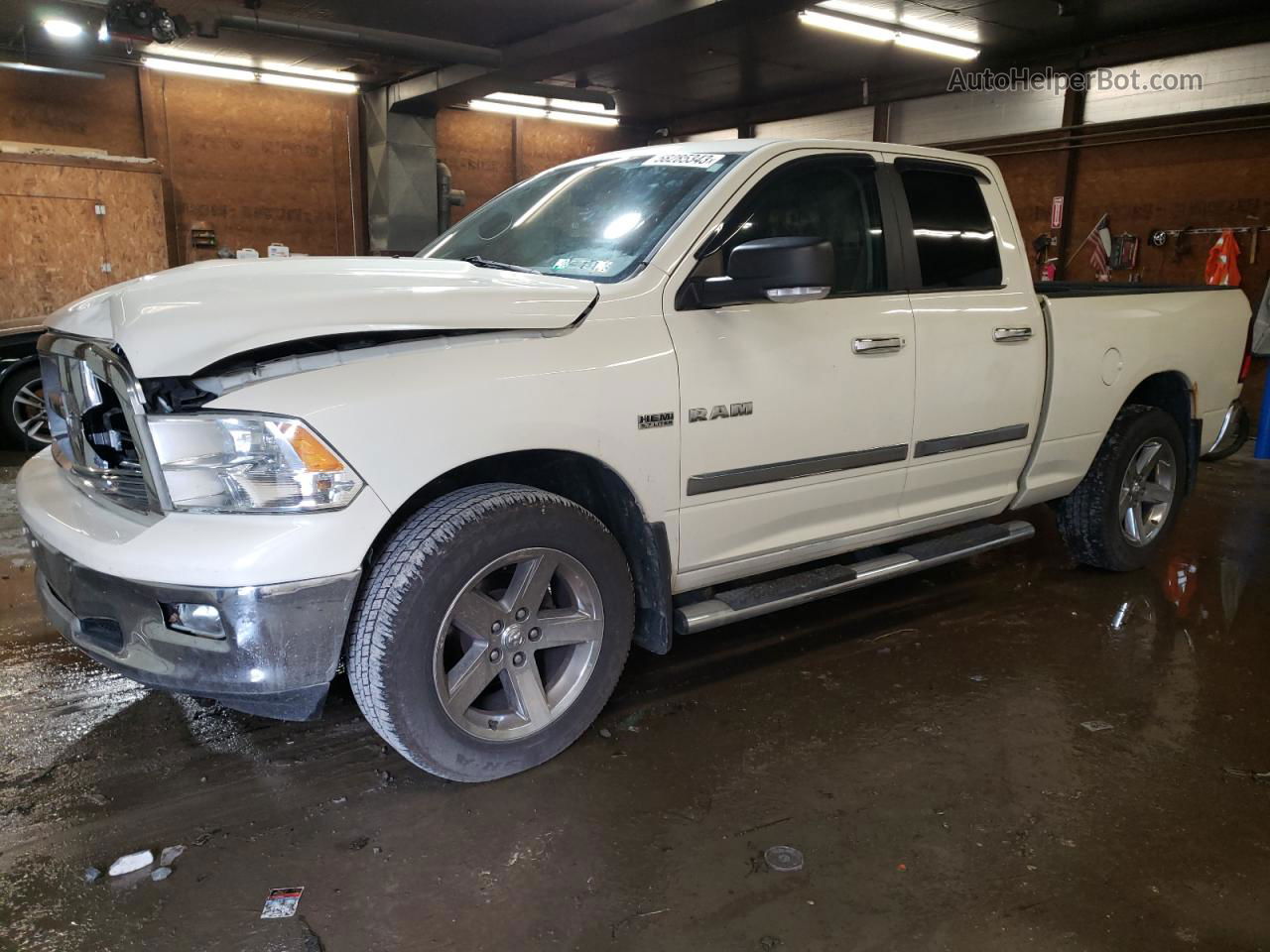 2010 Dodge Ram 1500  Beige vin: 1D7RV1GT5AS227484