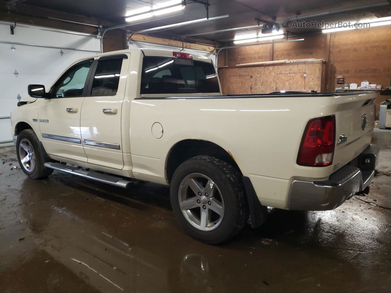 2010 Dodge Ram 1500  Beige vin: 1D7RV1GT5AS227484