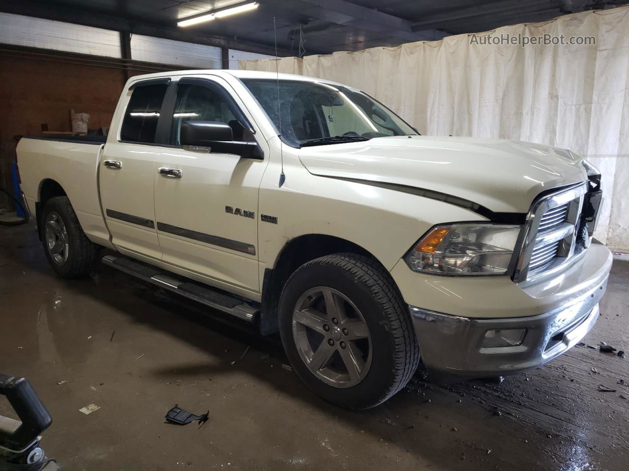 2010 Dodge Ram 1500  Beige vin: 1D7RV1GT5AS227484