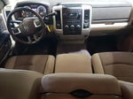 2010 Dodge Ram 1500  Beige vin: 1D7RV1GT5AS227484