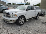 2010 Dodge Ram 1500  White vin: 1D7RV1GT6AS108505