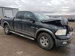 2010 Dodge Ram 1500  Black vin: 1D7RV1GT6AS120315