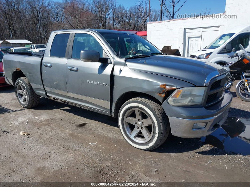 2010 Dodge Ram 1500 Slt/sport/trx Gray vin: 1D7RV1GT6AS204523