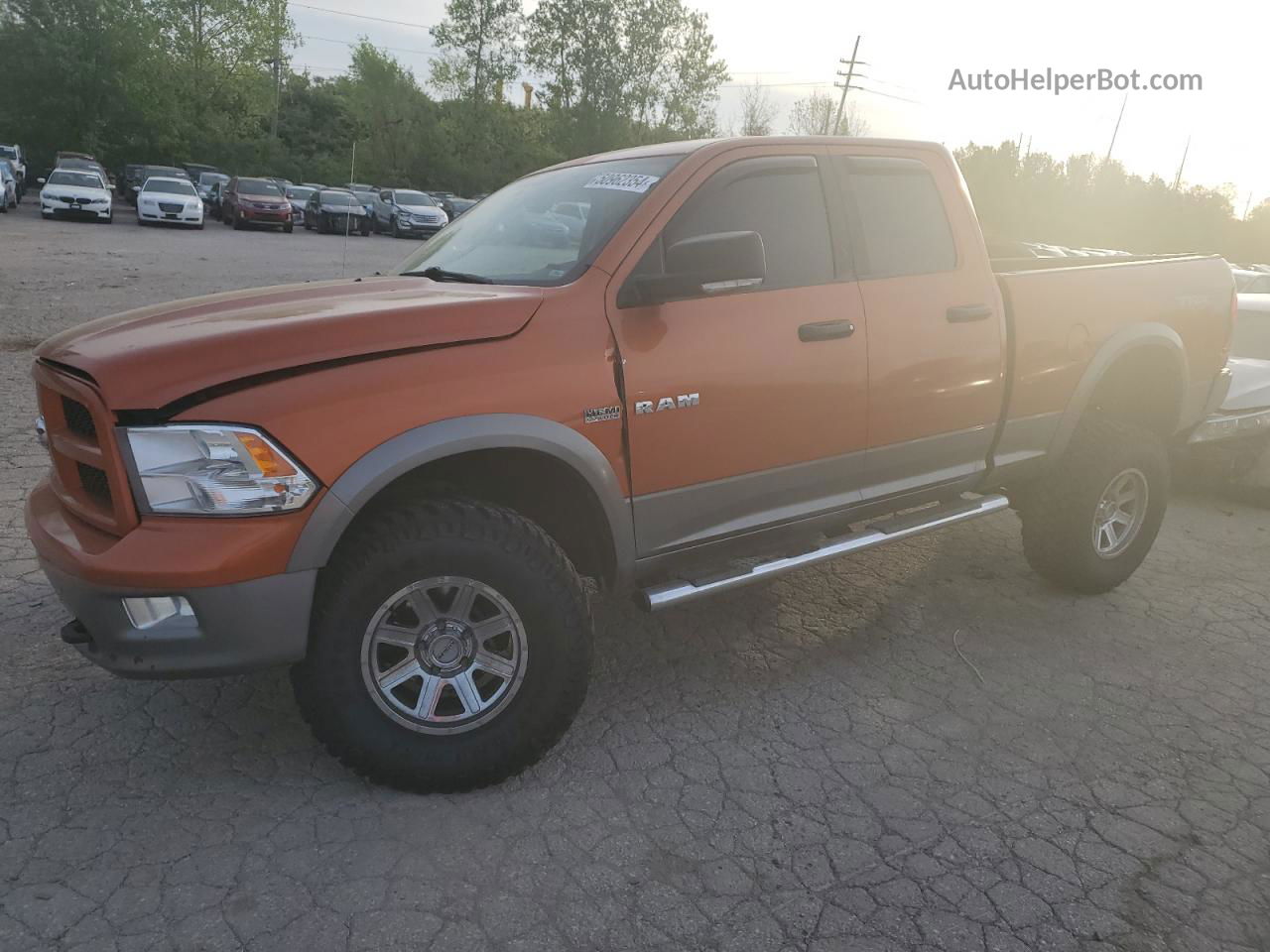 2010 Dodge Ram 1500  Orange vin: 1D7RV1GT7AS175209