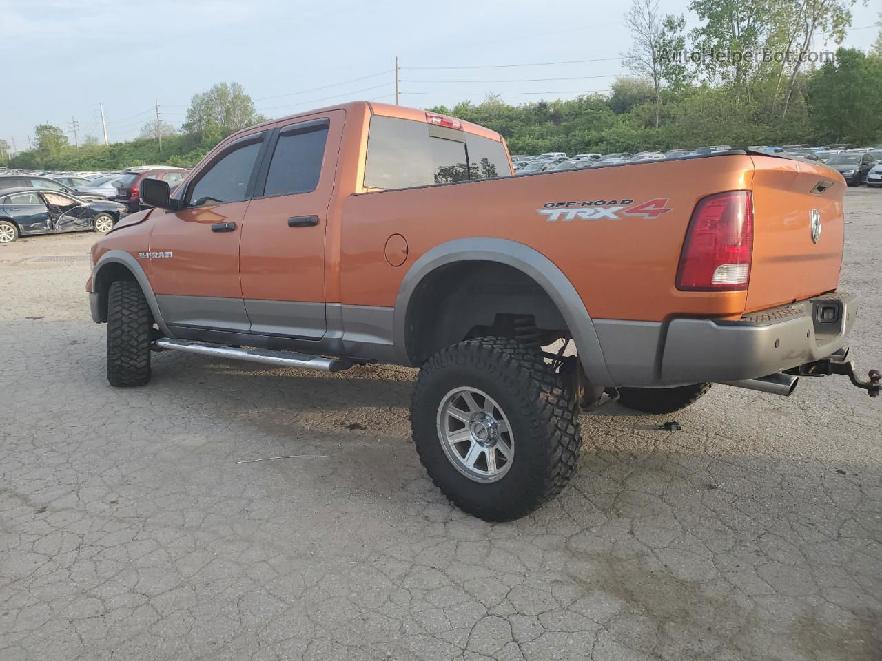 2010 Dodge Ram 1500  Orange vin: 1D7RV1GT7AS175209