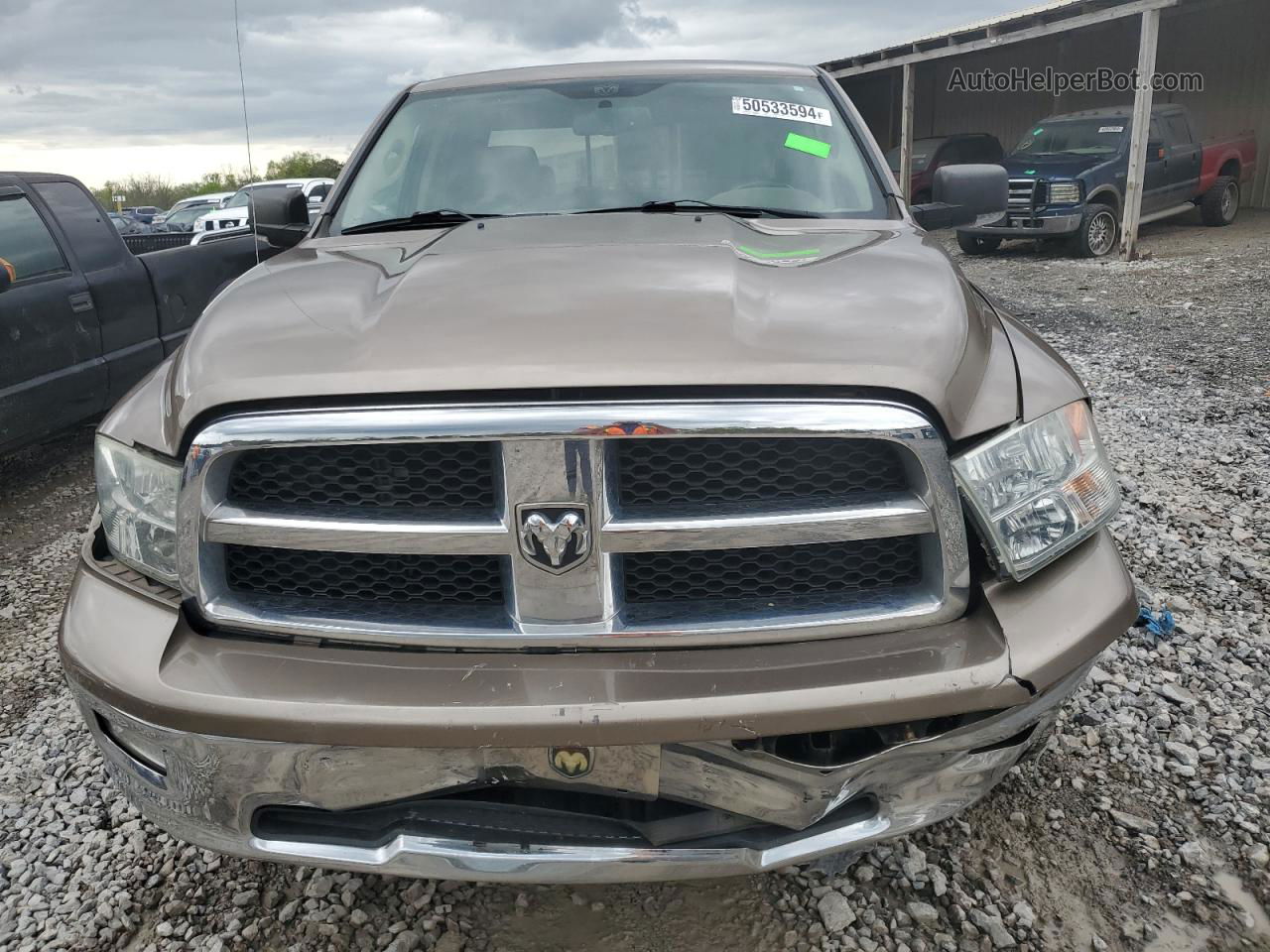 2010 Dodge Ram 1500  Коричневый vin: 1D7RV1GT8AS142655