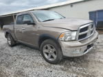 2010 Dodge Ram 1500  Коричневый vin: 1D7RV1GT8AS142655