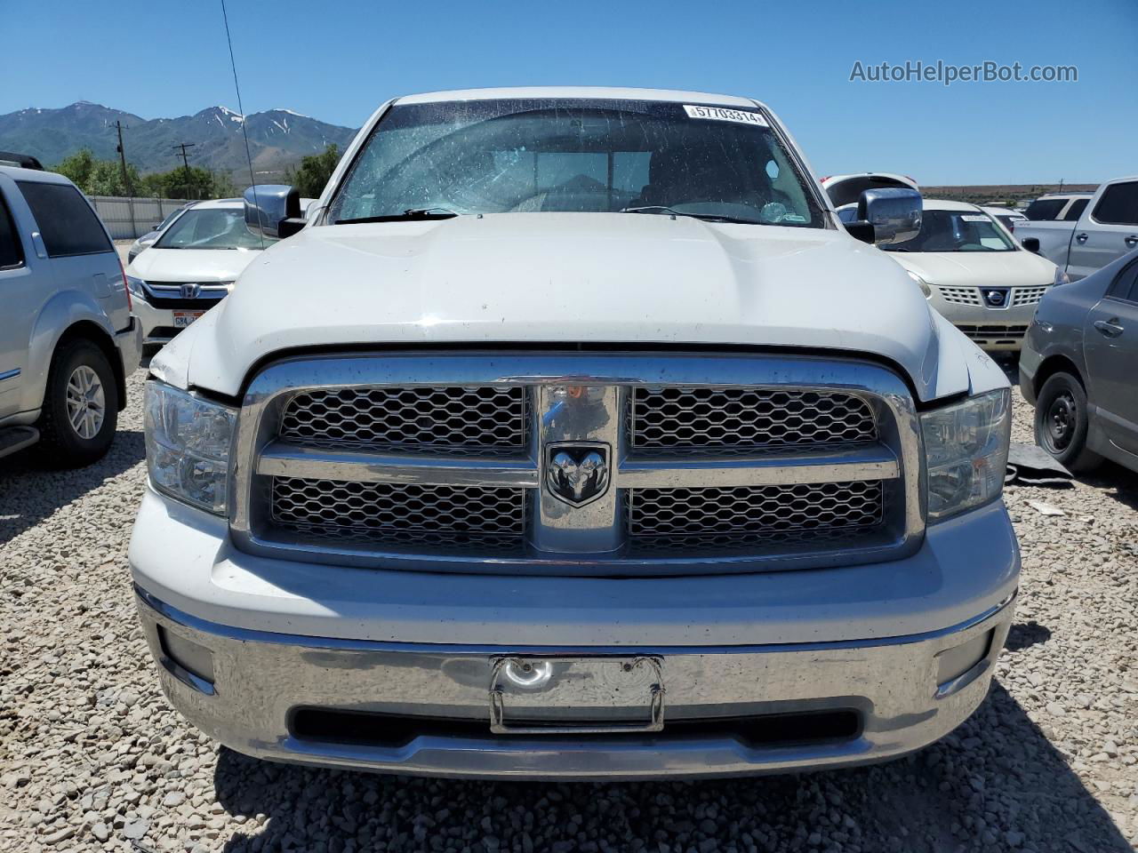 2010 Dodge Ram 1500  White vin: 1D7RV1GT8AS212834