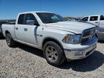 2010 Dodge Ram 1500  White vin: 1D7RV1GT8AS212834