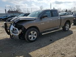 2010 Dodge Ram 1500  Tan vin: 1D7RV1GT8AS236342