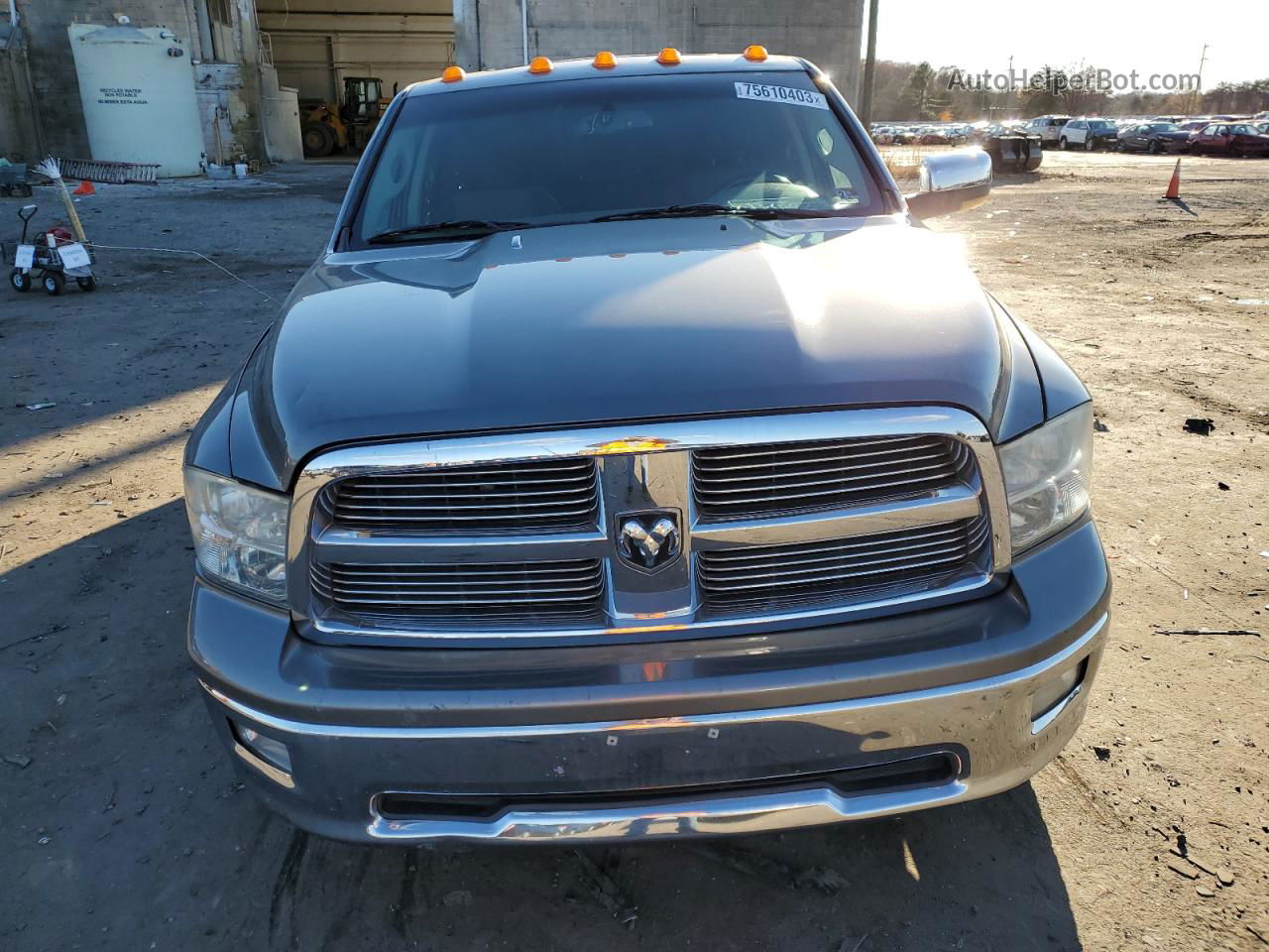 2010 Dodge Ram 1500  Gray vin: 1D7RV1GT8AS257093