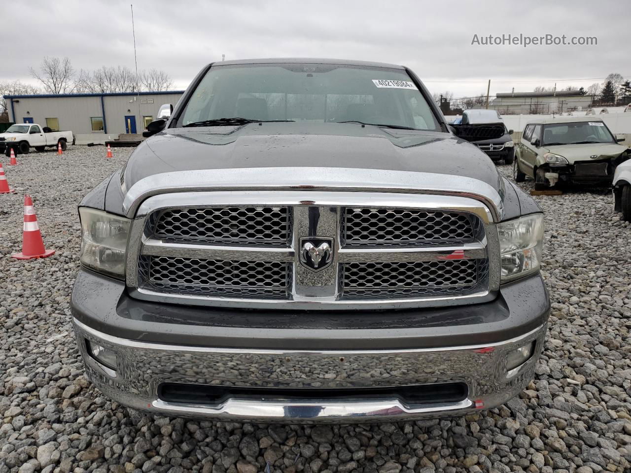 2010 Dodge Ram 1500  Серый vin: 1D7RV1GTXAS146870