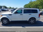 2008 Dodge Nitro Sxt White vin: 1D8GU28K68W202579