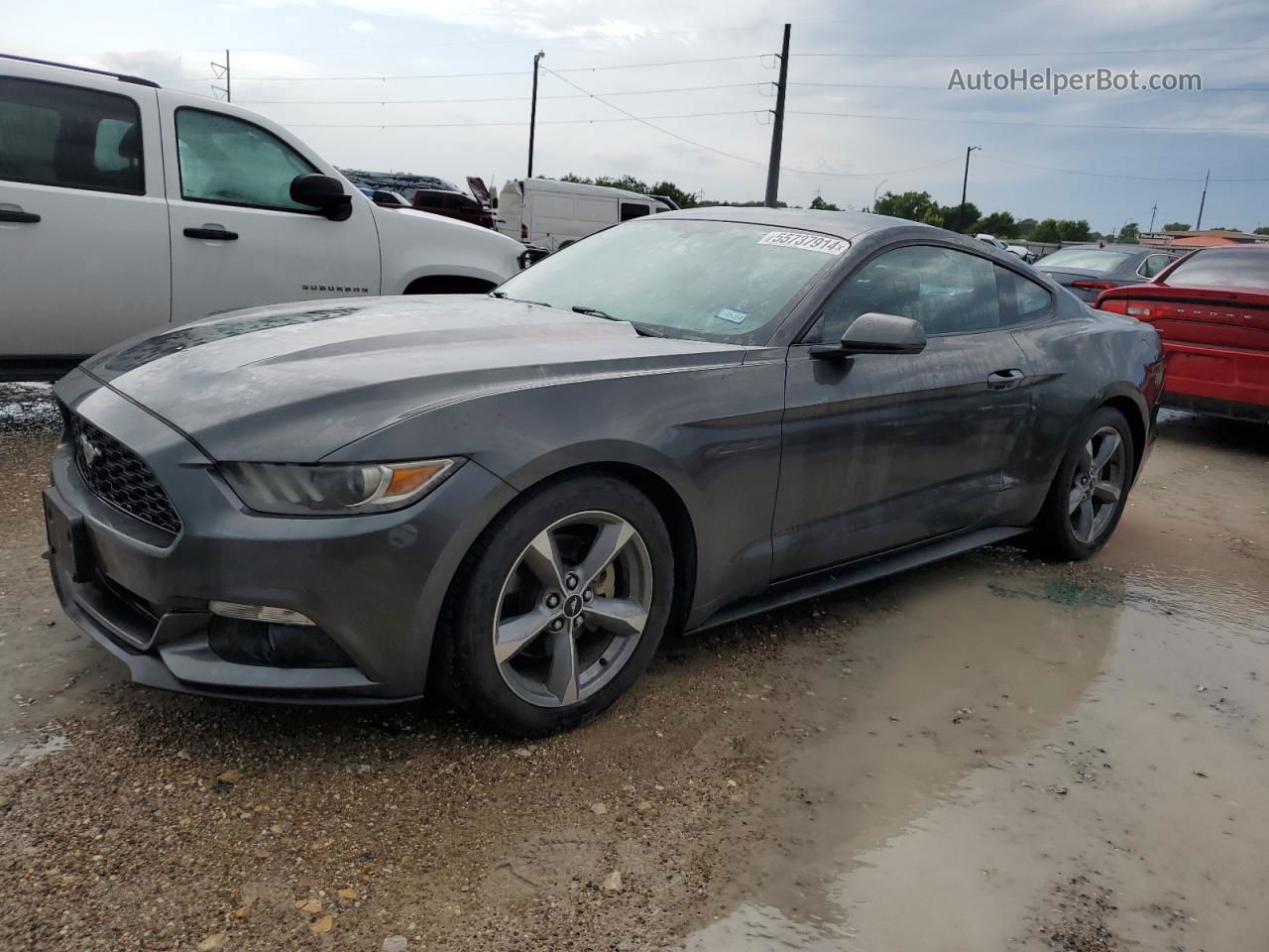 2016 Ford Mustang  Gray vin: 1FA6P8AM0G5336420