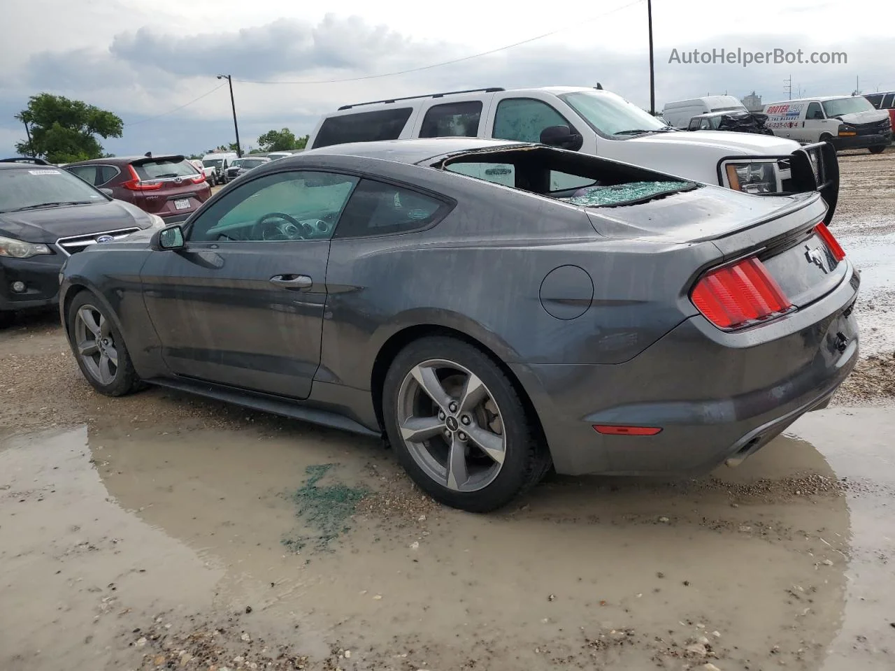 2016 Ford Mustang  Gray vin: 1FA6P8AM0G5336420