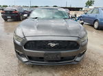 2016 Ford Mustang  Gray vin: 1FA6P8AM0G5336420