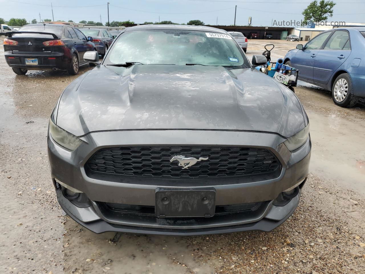 2016 Ford Mustang  Gray vin: 1FA6P8AM0G5336420